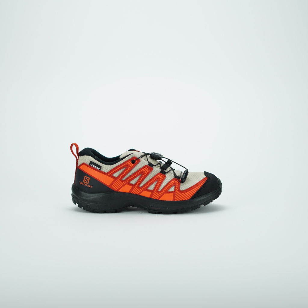 SALOMON XA PRO V8