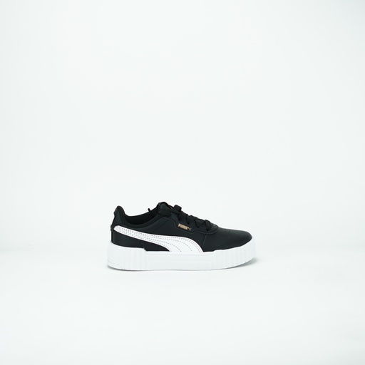 PUMA CARINA 3.0 PS