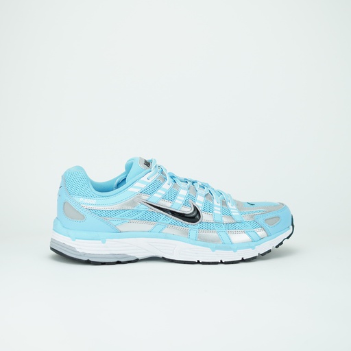 [CD6404-401] NIKE P-6000