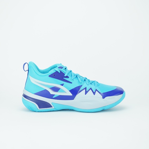 PUMA GENETICS