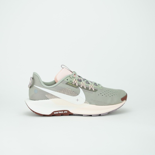 [DV3865-300] NIKE PEGASUS TRAIL 5