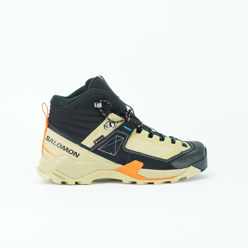 SALOMON X ULTRA ALPINE GTX
