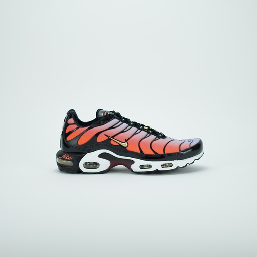 [DO6115-500] NIKE AIR MAX PLUS SISTERHOOD