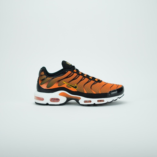 [DM0032-800] NIKE AIR MAX PLUS