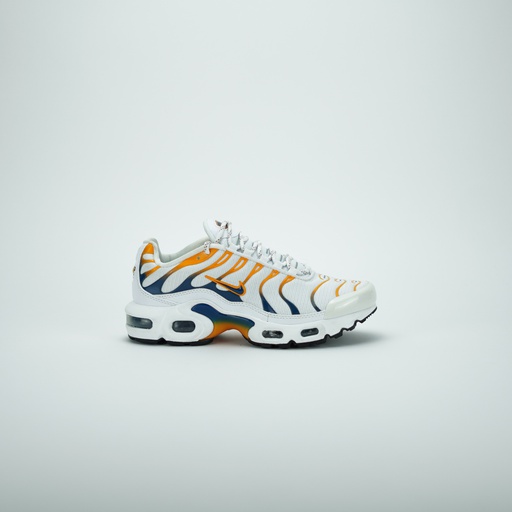 [DV7083-100] NIKE AIR MAX PLUS HIKING