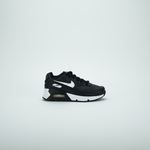 [CD6867-010] NIKE AIR MAX 90