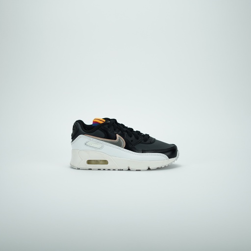 [DJ0415-001] NIKE AIR MAX 90 LTR