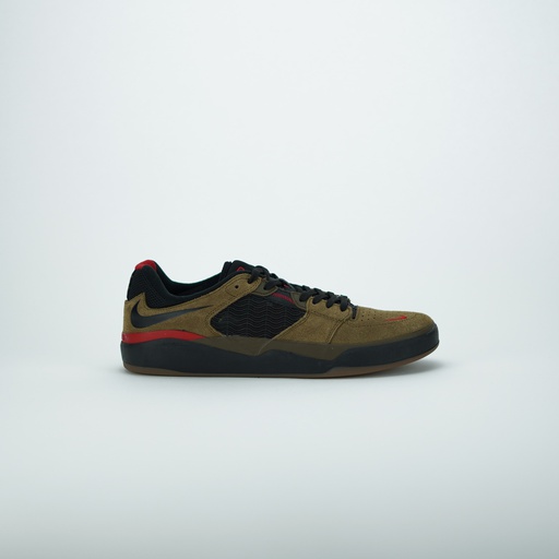 [DC7232-300] NIKE SB ISHOD WAIR