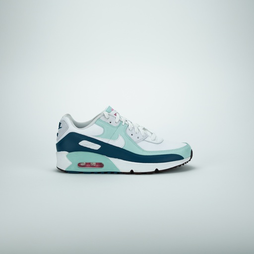 [DV3607-104] NIKE AIR MAX 90