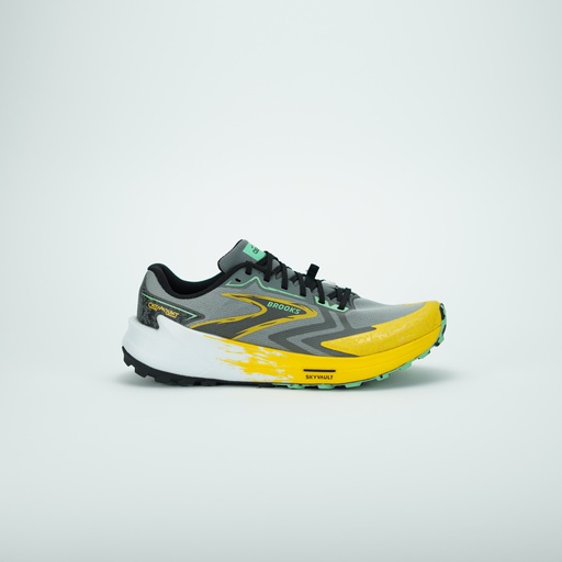 [SKYVAULT] BROOKS CATAMOUNT 3