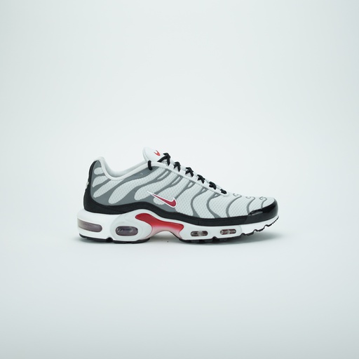 [DM0032-002] NIKE AIR MAX PLUS