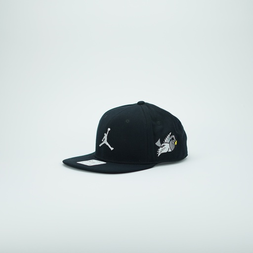 [FD5183-010] GORRA AIR JORDAN