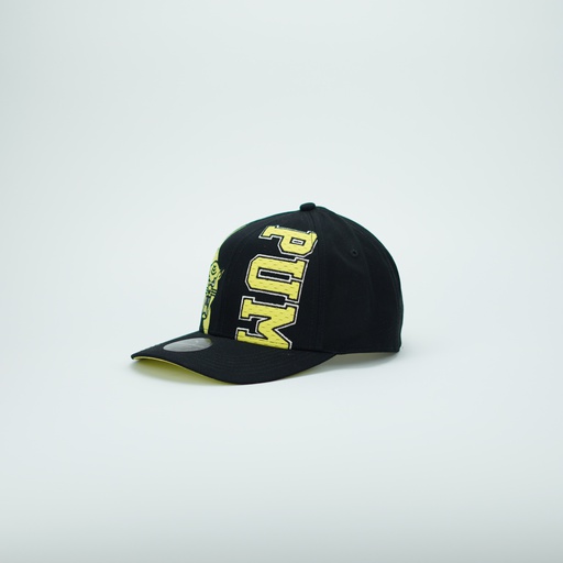 [025276 01] GORRA PUMA HOMETOWN HEROES