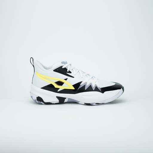 PUMA GENETICS