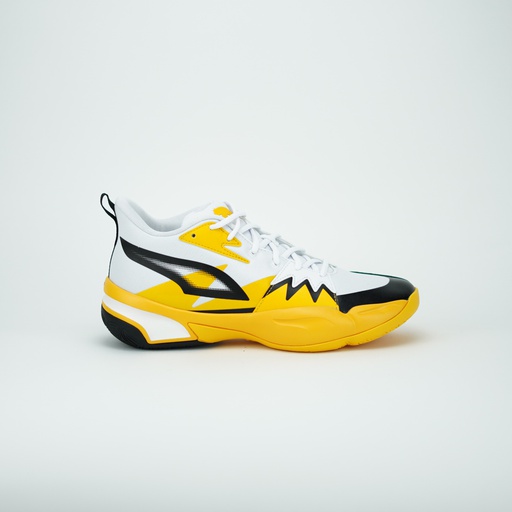 PUMA GENETICS