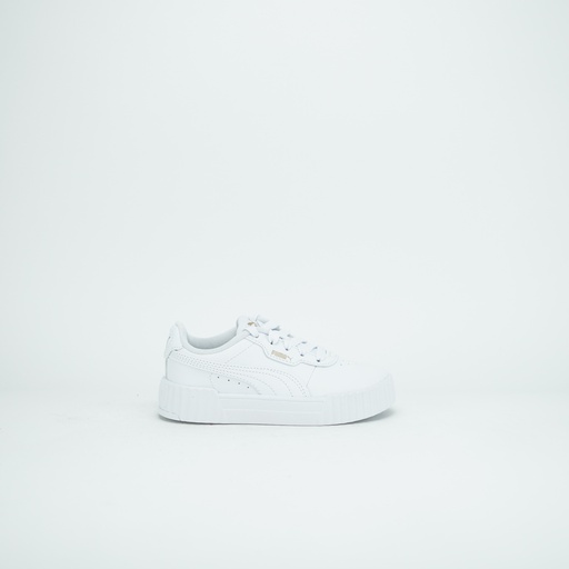 PUMA CARINA 3.0 PS