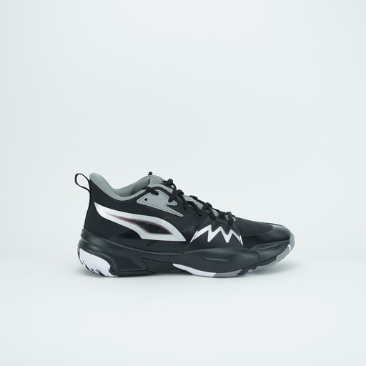 PUMA GENETICS