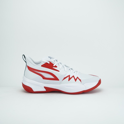 PUMA GENETICS